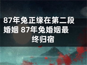87年兔正缘在第二段婚姻 87年兔婚姻最终归宿