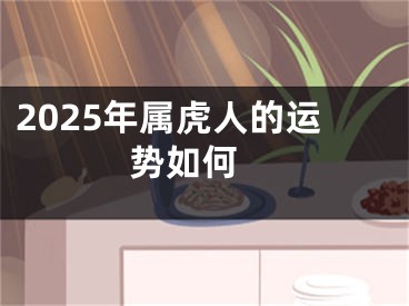 2025年属虎人的运势如何 
