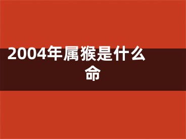 2004年属猴是什么命