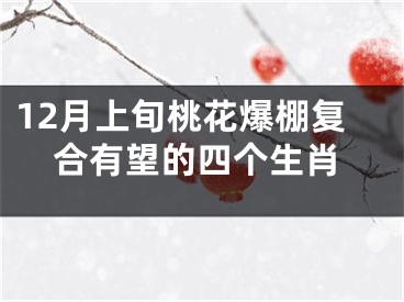 12月上旬桃花爆棚复合有望的四个生肖