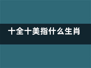 十全十美指什么生肖
