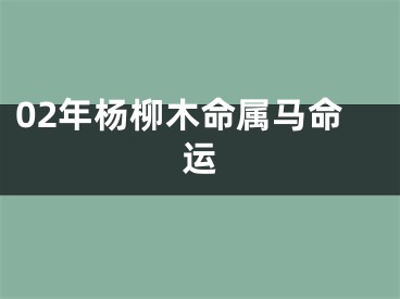 02年杨柳木命属马命运