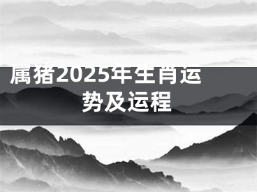 属猪2025年生肖运势及运程