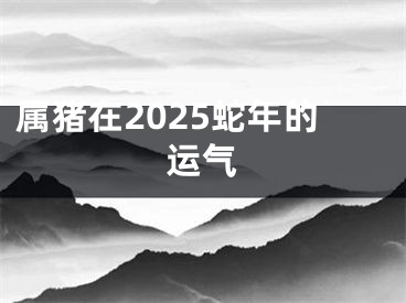 属猪在2025蛇年的运气