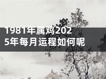 1981年属鸡2025年每月运程如何呢 