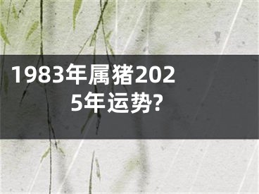 1983年属猪2025年运势?