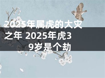 2025年属虎的大灾之年 2025年虎39岁是个劫