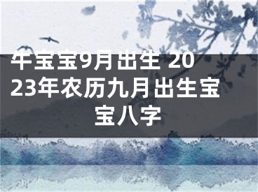 牛宝宝9月出生 2023年农历九月出生宝宝八字
