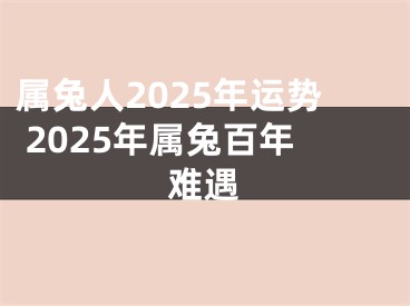 属兔人2025年运势 2025年属兔百年难遇