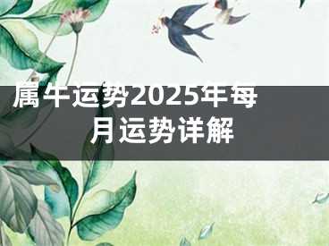 属牛运势2025年每月运势详解