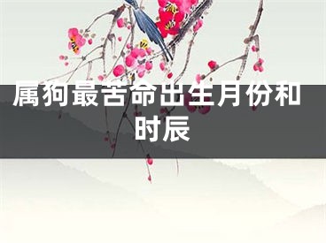 属狗最苦命出生月份和时辰