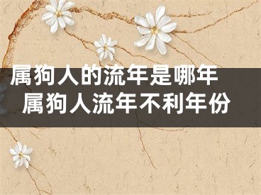 属狗人的流年是哪年 属狗人流年不利年份
