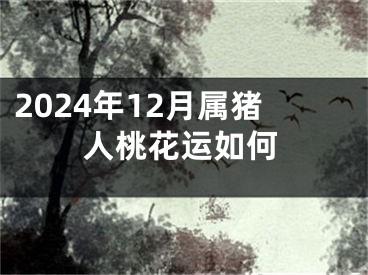 2024年12月属猪人桃花运如何