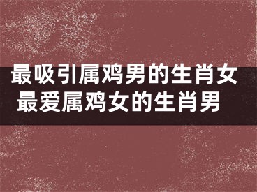 最吸引属鸡男的生肖女 最爱属鸡女的生肖男