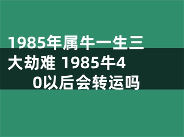 1985年属牛一生三大劫难 1985牛40以后会转运吗
