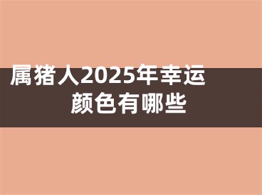 属猪人2025年幸运颜色有哪些