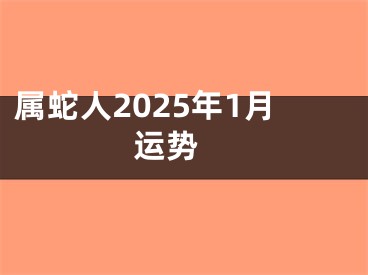 属蛇人2025年1月运势 