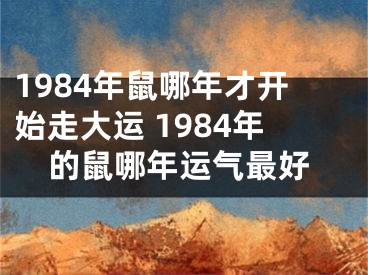 1984年鼠哪年才开始走大运 1984年的鼠哪年运气最好