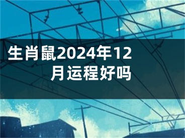 生肖鼠2024年12月运程好吗