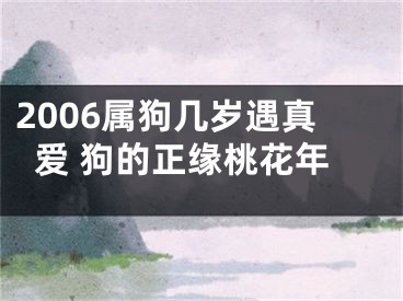 2006属狗几岁遇真爱 狗的正缘桃花年
