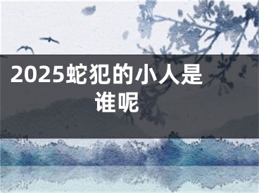 2025蛇犯的小人是谁呢 