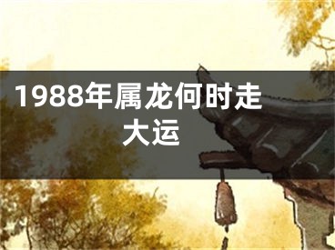 1988年属龙何时走大运 