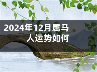 2024年12月属马人运势如何