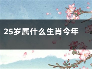 25岁属什么生肖今年