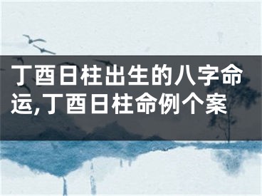 丁酉日柱出生的八字命运,丁酉日柱命例个案