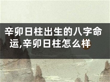 辛卯日柱出生的八字命运,辛卯日柱怎么样