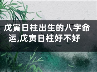 戊寅日柱出生的八字命运,戊寅日柱好不好