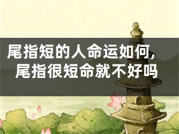 尾指短的人命运如何,尾指很短命就不好吗