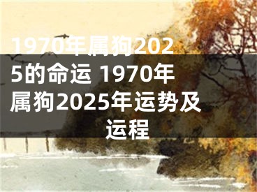 1970年属狗2025的命运 1970年属狗2025年运势及运程