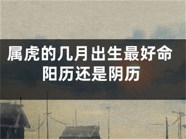 属虎的几月出生最好命阳历还是阴历