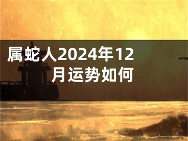 属蛇人2024年12月运势如何