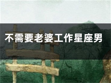 不需要老婆工作星座男