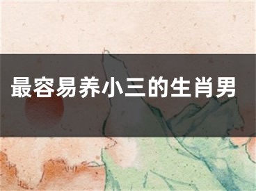 最容易养小三的生肖男