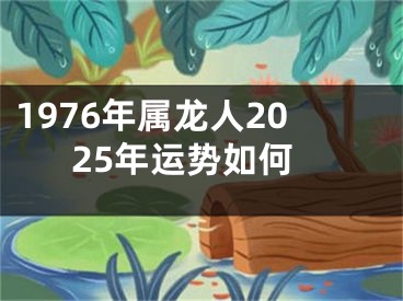 1976年属龙人2025年运势如何