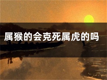 属猴的会克死属虎的吗