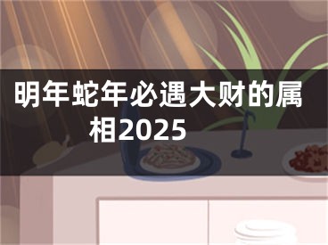 明年蛇年必遇大财的属相2025