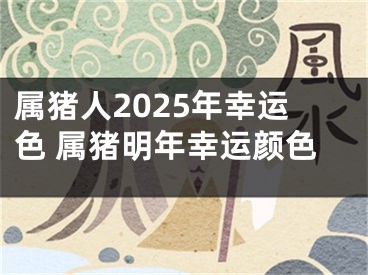 属猪人2025年幸运色 属猪明年幸运颜色