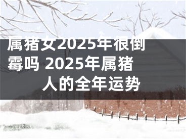 属猪女2025年很倒霉吗 2025年属猪人的全年运势