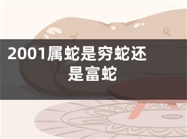 2001属蛇是穷蛇还是富蛇