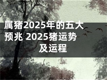 属猪2025年的五大预兆 2025猪运势及运程