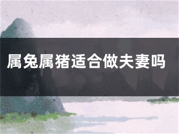 属兔属猪适合做夫妻吗