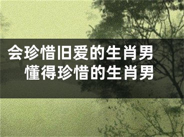 会珍惜旧爱的生肖男 懂得珍惜的生肖男