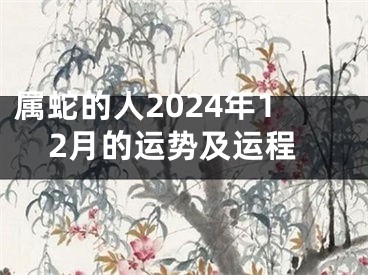 属蛇的人2024年12月的运势及运程