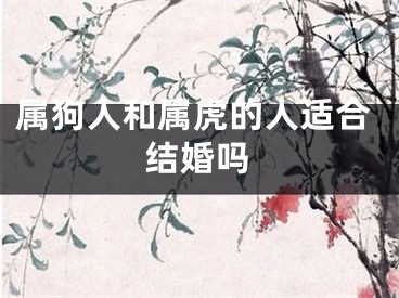 属狗人和属虎的人适合结婚吗