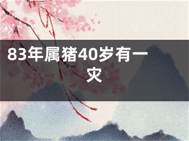 83年属猪40岁有一灾