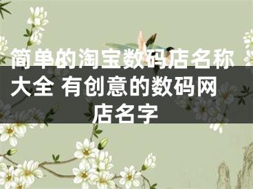 简单的淘宝数码店名称大全 有创意的数码网店名字